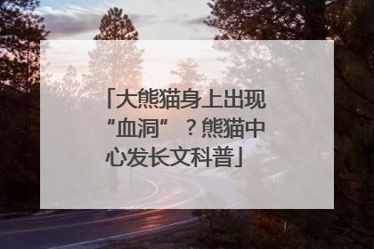 大熊猫身上出现“血洞”？熊猫中心发长文科普