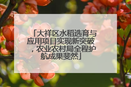 大祥区水稻选育与应用项目实现新突破，农业农村局全程护航成果斐然