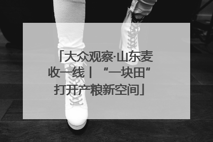 大众观察·山东麦收一线丨“一块田”打开产粮新空间