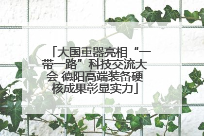 大国重器亮相“一带一路”科技交流大会 德阳高端装备硬核成果彰显实力