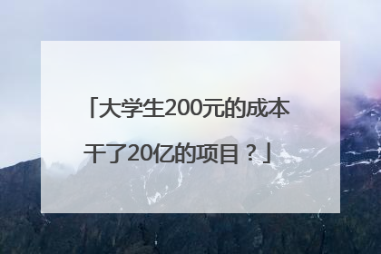 大学生200元的成本干了20亿的项目？