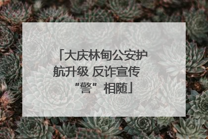 大庆林甸公安护航升级 反诈宣传“警”相随