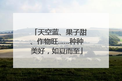 天空蓝、果子甜、作物旺……种种美好，如夏而至