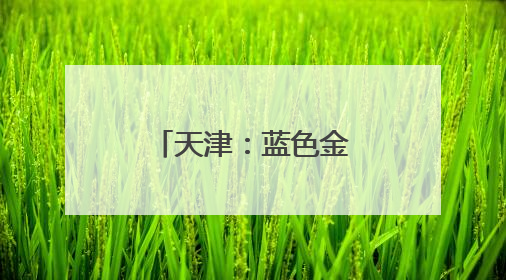 天津：蓝色金融多维发力赋能海洋经济