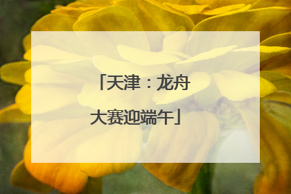 天津：龙舟大赛迎端午