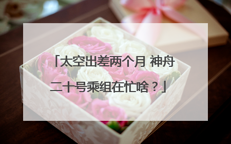 太空出差两个月 神舟二十号乘组在忙啥？