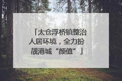 太仓浮桥镇整治人居环境，全力扮靓港城“颜值”