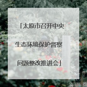 太原市召开中央生态环境保护督察问题整改推进会