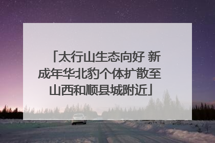 太行山生态向好 新成年华北豹个体扩散至山西和顺县城附近