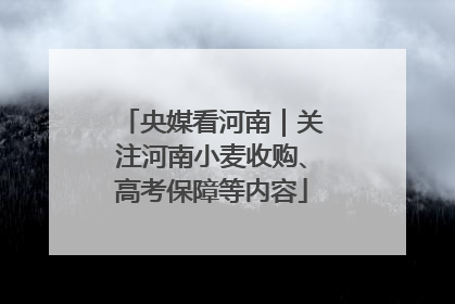 央媒看河南｜关注河南小麦收购、高考保障等内容