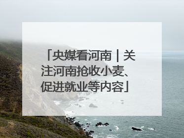 央媒看河南｜关注河南抢收小麦、促进就业等内容