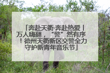 奔赴天衢·奔赴热爱丨万人嗨翻，“警”然有序！德州天衢新区交警全力守护新青年音乐节
