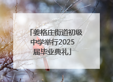 姜格庄街道初级中学举行2025届毕业典礼