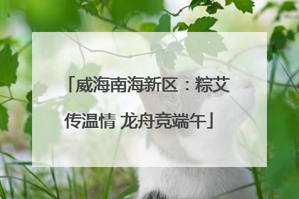 威海南海新区：粽艾传温情 龙舟竞端午