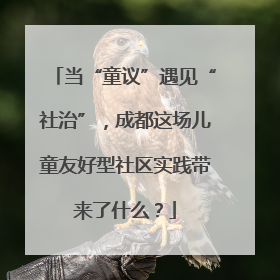 当“童议”遇见“社治”，成都这场儿童友好型社区实践带来了什么？