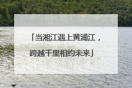 当湘江遇上黄浦江，跨越千里相约未来