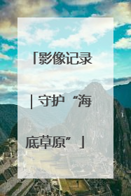 影像记录｜守护“海底草原”