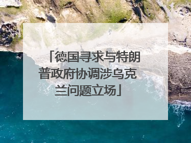 德国寻求与特朗普政府协调涉乌克兰问题立场