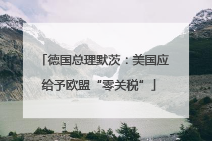 德国总理默茨：美国应给予欧盟“零关税”