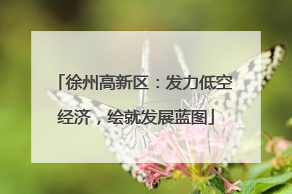 徐州高新区：发力低空经济，绘就发展蓝图