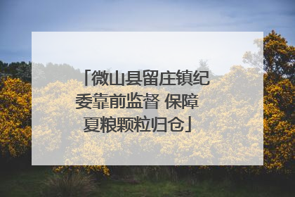 微山县留庄镇纪委靠前监督 保障夏粮颗粒归仓