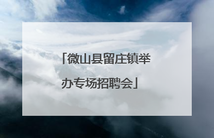 微山县留庄镇举办专场招聘会