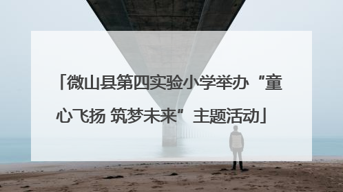 微山县第四实验小学举办“童心飞扬 筑梦未来”主题活动