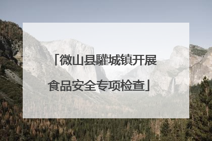 微山县驩城镇开展食品安全专项检查