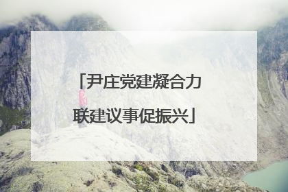 尹庄党建凝合力 联建议事促振兴