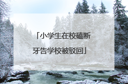 小学生在校磕断牙告学校被驳回