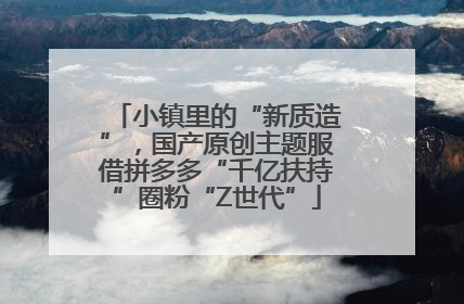 小镇里的“新质造”，国产原创主题服借拼多多“千亿扶持”圈粉“Z世代”