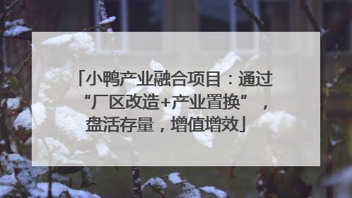 小鸭产业融合项目：通过“厂区改造+产业置换”，盘活存量，增值增效