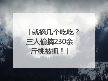 就摘几个吃吃？三人偷摘230余斤桃被抓！