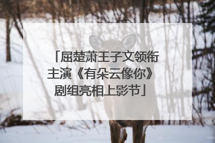 屈楚萧王子文领衔主演《有朵云像你》剧组亮相上影节