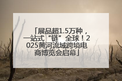 展品超1.5万种，一站式“链”全球！2025黄河流域跨境电商博览会启幕