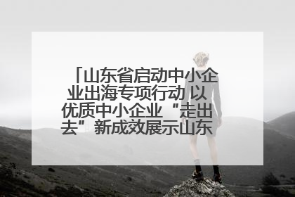 山东省启动中小企业出海专项行动 以优质中小企业“走出去”新成效展示山东产业发展新形象