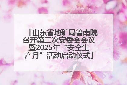 山东省地矿局鲁南院召开第三次安委会会议暨2025年“安全生产月”活动启动仪式