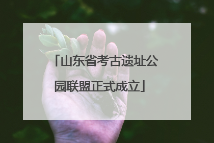 山东省考古遗址公园联盟正式成立