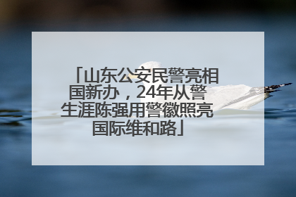山东公安民警亮相国新办，24年从警生涯陈强用警徽照亮国际维和路