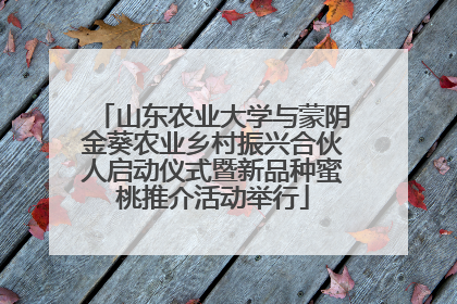 山东农业大学与蒙阴金葵农业乡村振兴合伙人启动仪式暨新品种蜜桃推介活动举行