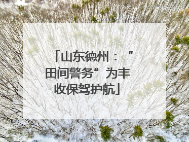 山东德州：“田间警务”为丰收保驾护航