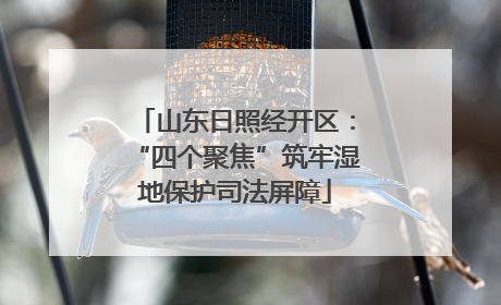山东日照经开区：“四个聚焦”筑牢湿地保护司法屏障