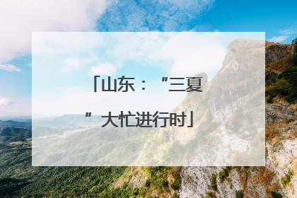 山东：“三夏”大忙进行时