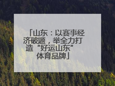 山东：以赛事经济破题，举全力打造“好运山东” 体育品牌