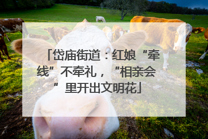 岱庙街道：红娘“牵线”不牵礼，“相亲会”里开出文明花