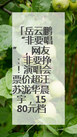 岳云鹏“非要唱”，网友：非要挣！演唱会票价超汪苏泷华晨宇，1580元档20秒抢空