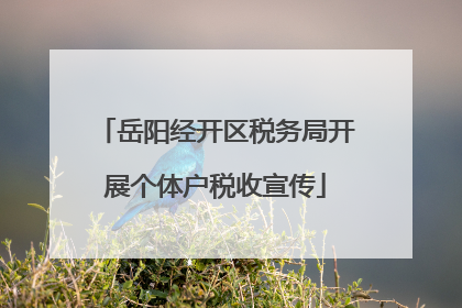 岳阳经开区税务局开展个体户税收宣传