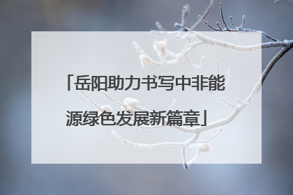 岳阳助力书写中非能源绿色发展新篇章
