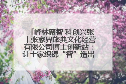峰林聚智 科创兴张丨张家界旅典文化经营有限公司博士创新站：让土家织锦“智”造出非遗新传奇