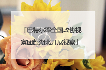 巴特尔率全国政协视察团赴湖北开展视察